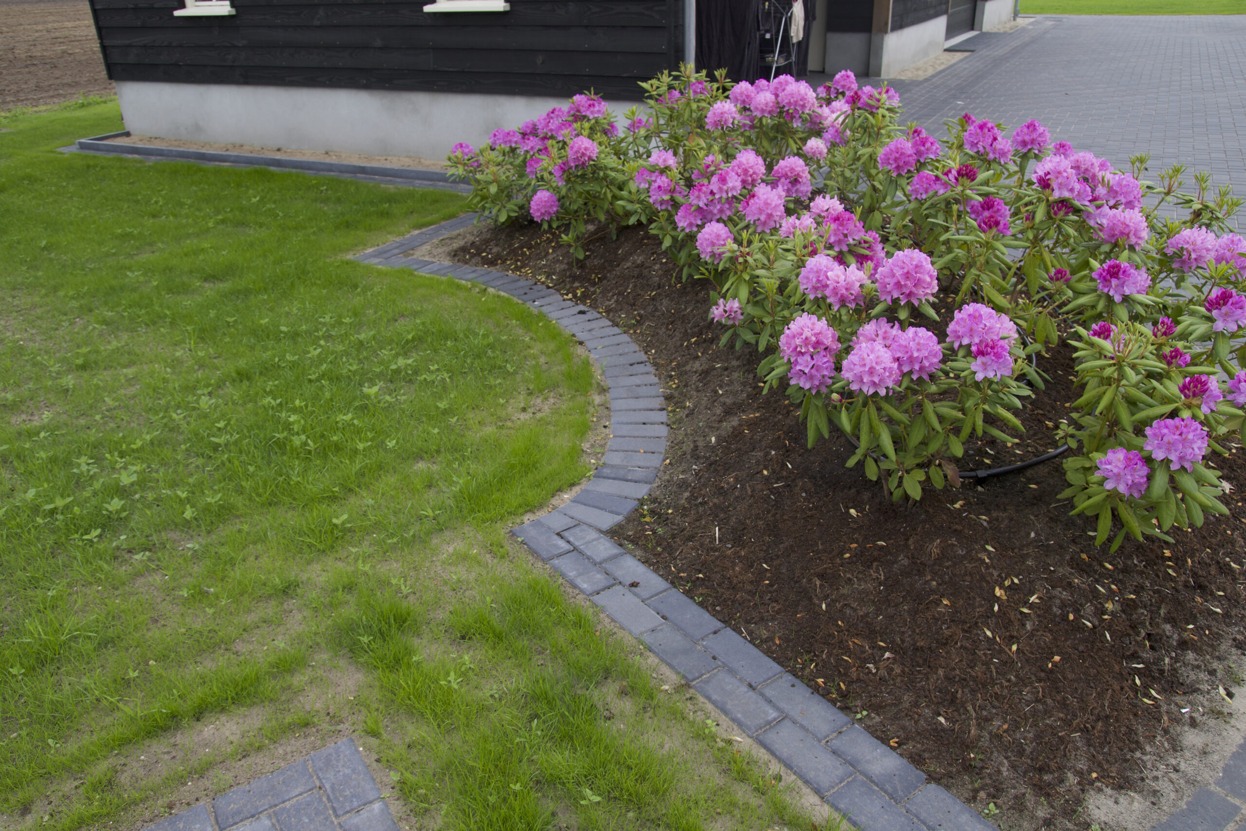 Van Manen Buitenprojecten terrein en groen
